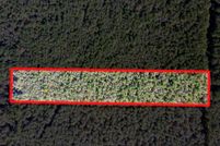 Land for sale in Little River County, Arkansas