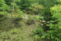 Undeveloped Land for sale in Sharp County, Arkansas