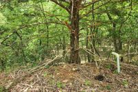 Undeveloped Land for sale in Sharp County, Arkansas