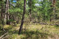 Homesite for sale in Lake County, Michigan