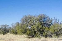 Land for sale in Navajo County, Arizona