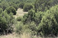 Land for sale in Navajo County, Arizona