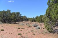 Land for sale in Navajo County, Arizona