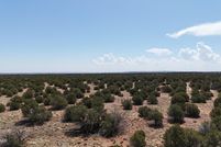 Land for sale in Navajo County, Arizona