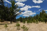 Homesite for sale in Apache County, Arizona
