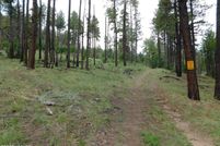 Homesite for sale in Apache County, Arizona