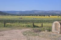 Farm and Ranch for sale in Apache County, Arizona