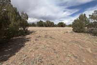 Land for sale in Navajo County, Arizona