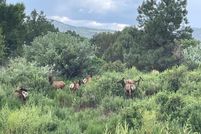 Land for sale in Apache County, Arizona