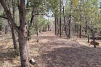 Land for sale in Navajo County, Arizona