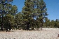 Land for sale in Navajo County, Arizona