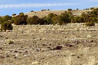 Land for sale in Apache County, Arizona