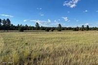 Land for sale in Navajo County, Arizona