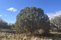 Land for sale in Navajo County, Arizona