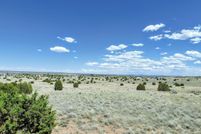 Land for sale in Navajo County, Arizona