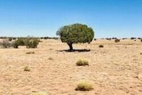 Land for sale in Apache County, Arizona