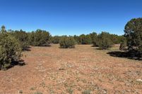 Land for sale in Navajo County, Arizona