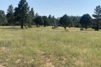 Land for sale in Navajo County, Arizona