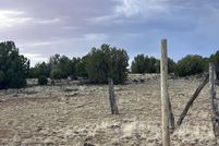 Land for sale in Navajo County, Arizona