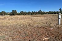 Land for sale in Navajo County, Arizona