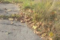 Land for sale in Owen County, Indiana