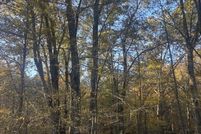 Land for sale in Wilkes County, Georgia