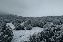 Land for sale in Apache County, Arizona