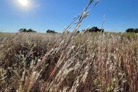 Land for sale in Van Zandt County, Texas