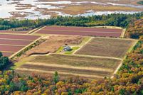 Land for sale in Jackson County, Wisconsin