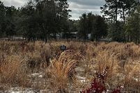 Land for sale in Marion County, Florida