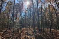 Land for sale in Fentress County, Tennessee