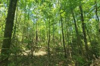 Land for sale in Geneva County, Alabama