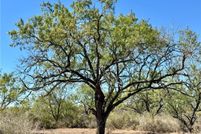 Land for sale in Atascosa County, Texas