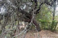 Land for sale in Comal County, Texas