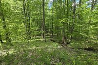 Land for sale in Manistee County, Michigan