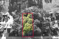 Land for sale in Blount County, Tennessee