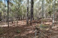 Land for sale in Tuscaloosa County, Alabama