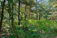 Farm and Ranch for sale in Hopkins County, Texas