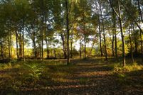 Land for sale in Weakley County, Tennessee