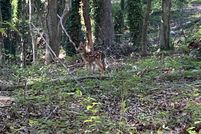 Land for sale in Anderson County, South Carolina