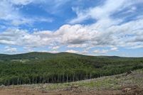 Land for sale in Floyd County, Virginia