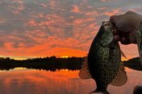 Farm and Ranch for sale in Saint Louis County, Minnesota