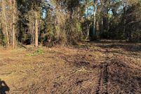 Undeveloped Land for sale in Flagler County, Florida