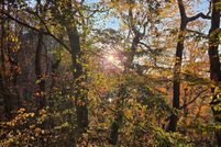 Land for sale in Burlington County, New Jersey