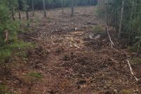 Land for sale in Penobscot County, Maine