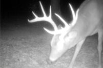 Land for sale in Madison County, Arkansas