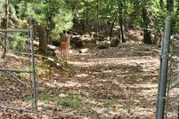 Homesite for sale in Gilmer County, Georgia