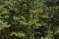 Land for sale in Montgomery County, North Carolina