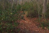 Land for sale in Garrett County, Maryland