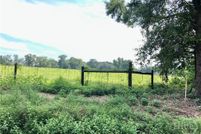 Land for sale in Bulloch County, Georgia